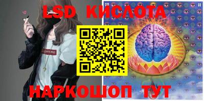 гашик Жуковский