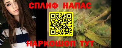 гашик Жуковский