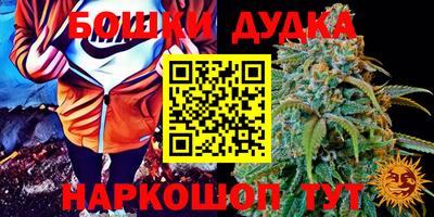 СК Заводоуковск