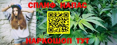 гашик Жуковский