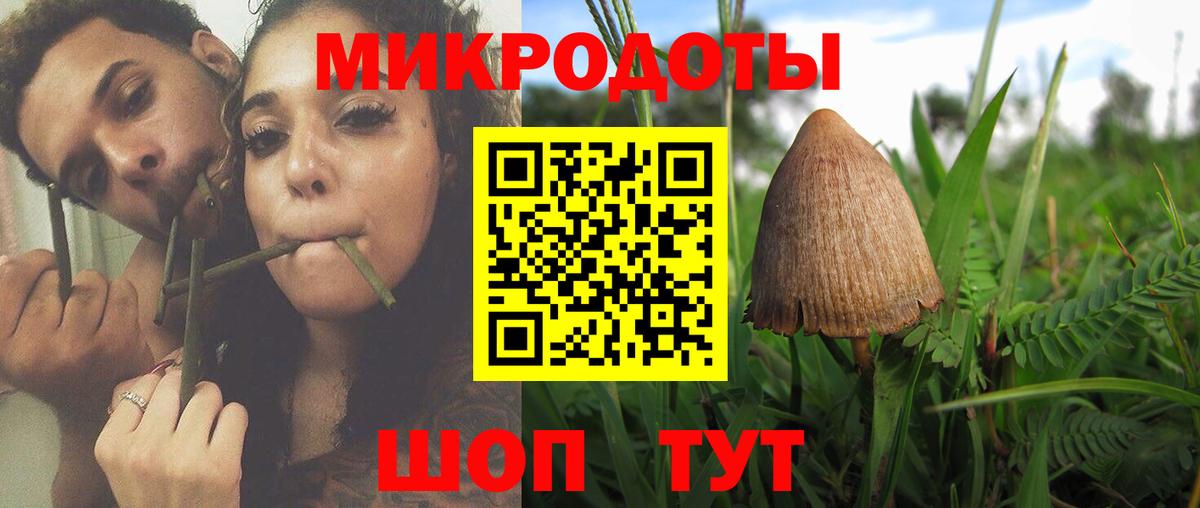 Магадан  Псилоцибиновые грибы MAGIC MUSHROOMS  Вход с VPN  Галлюциногенные грибы мухоморы 