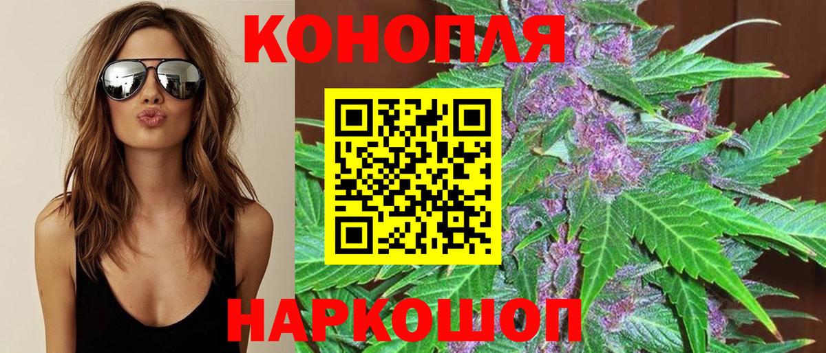 Шишки марихуана сатива Магадан
